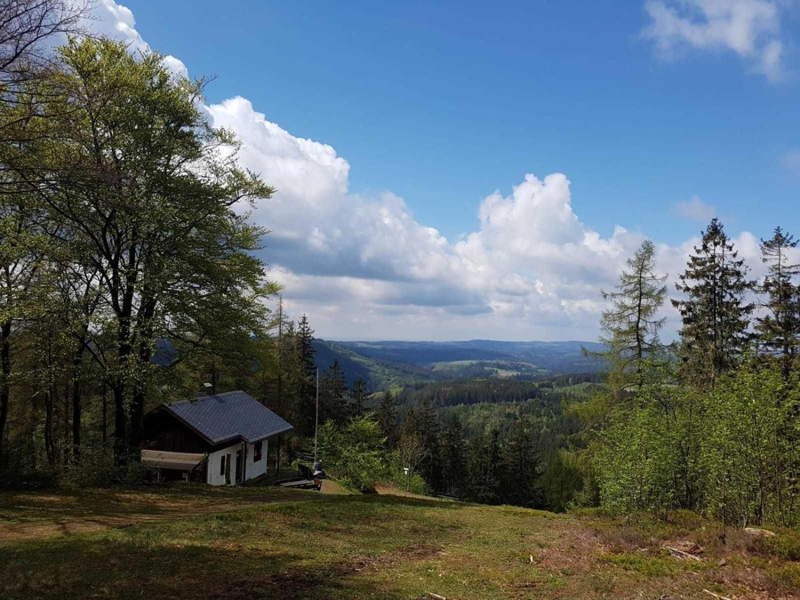 Ferienwohnung Bergwiese Schwarzenbach am Wald Bagian luar foto